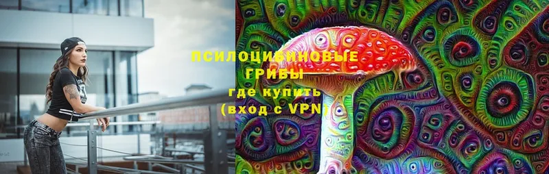 Галлюциногенные грибы ЛСД  MEGA ссылка  Руза  купить  